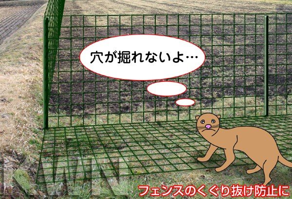 侵入防止金網