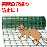侵入防止金網
