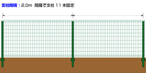 2m間隔で支柱を設置