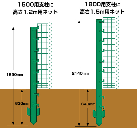 サイズ違いの支柱とネット