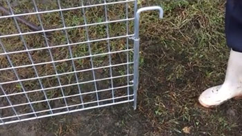 金網門扉（軽量）片開の商品画像