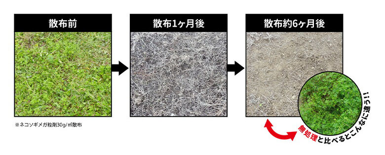 ネコソギメガ粒剤の効果