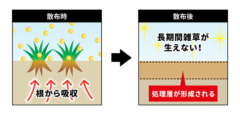 ネコソギメガ粒剤のイメージ
