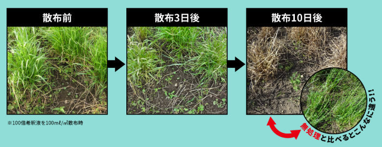 ネコソギクイックプロFLの効果